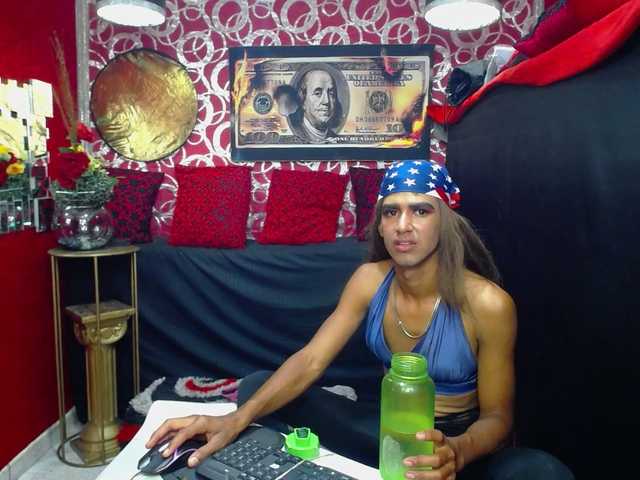 transgato