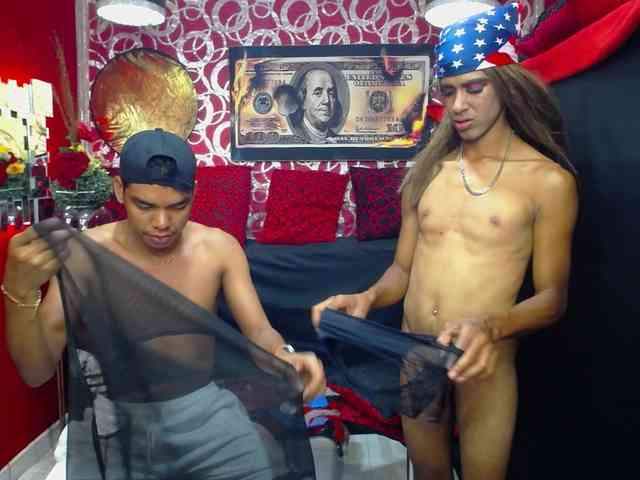 transgato