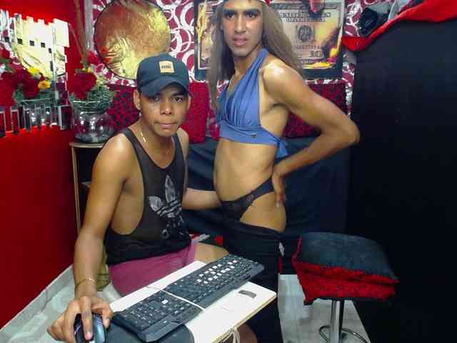 transgato
