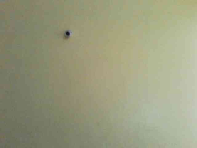 Princessmiles webcam