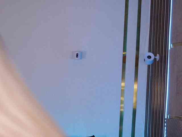 AlexaS_ webcam