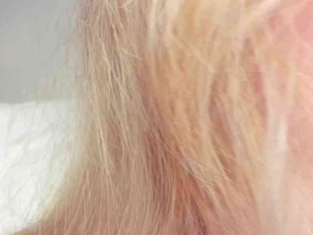 adult web chat Teeencute