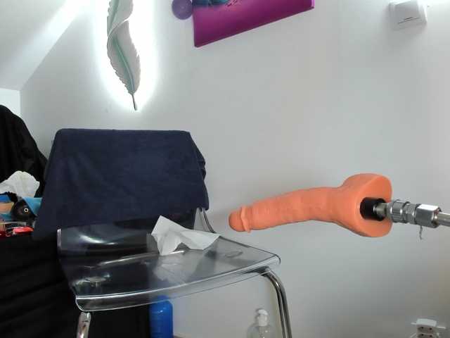 karlahartley's BongaCams show and profile