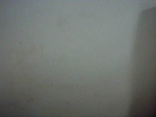 charrysexy Porn Show