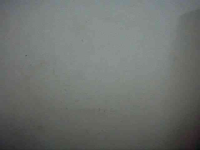 charrysexy charrysexy