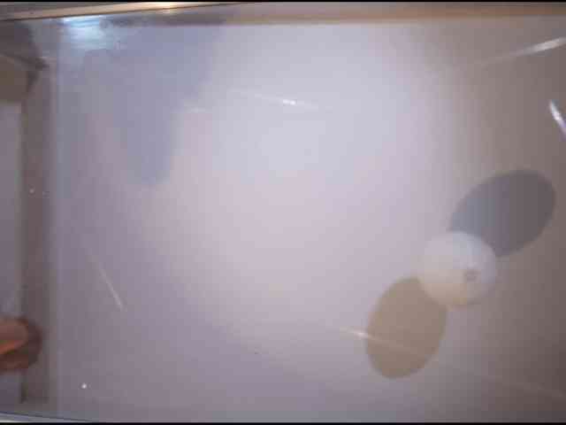 xxx webcam HEYBANANA