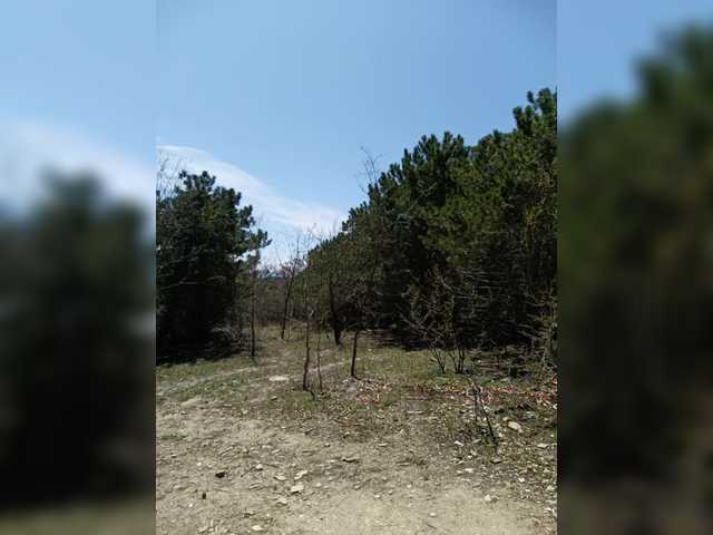 -Pypsiki-'s BongaCams profile