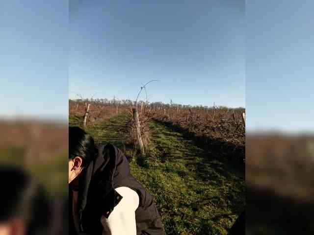 ___Pypsiki___ webcam