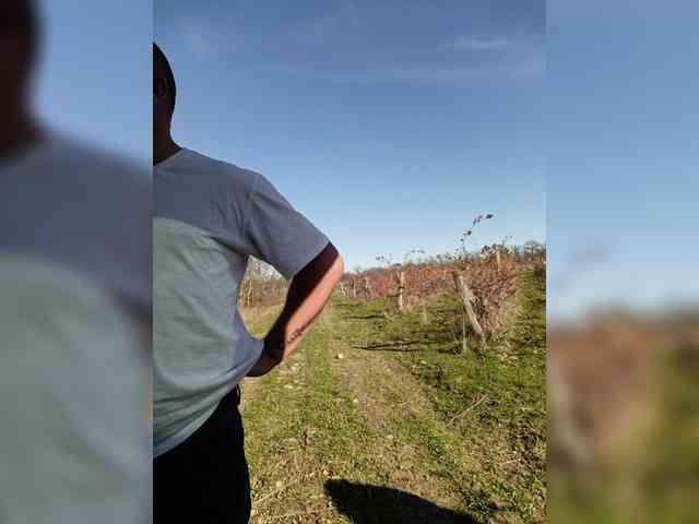 ___Pypsiki___ webcam