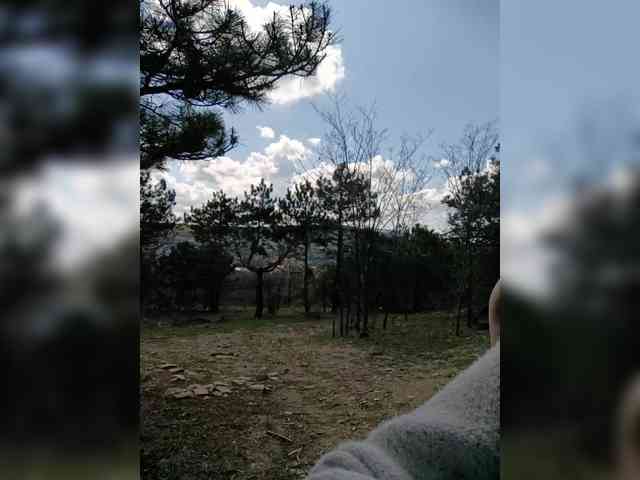 ___Pypsiki___ webcam