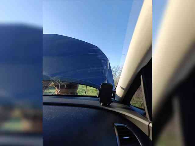 ___Pypsiki___ webcam