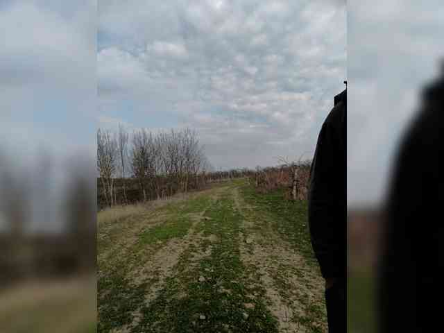 -Pypsiki- Live Webcam on {site_name}