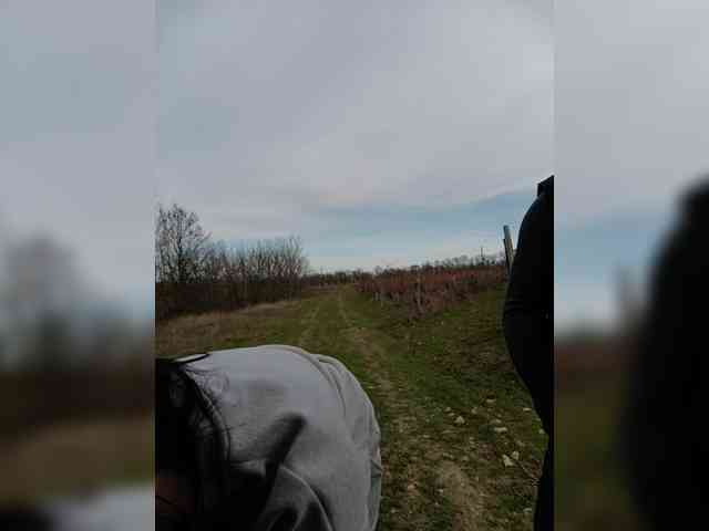 ___Pypsiki___ webcam