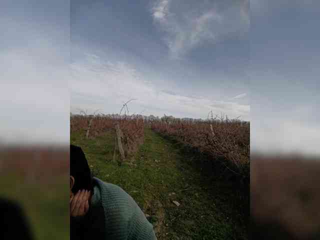 ___Pypsiki___ webcam