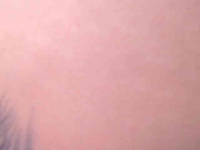 tiny-whore tiny-whore