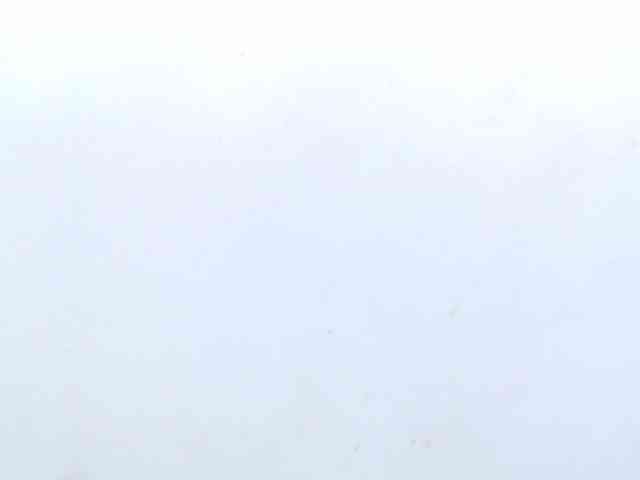 tiny-whore webcam