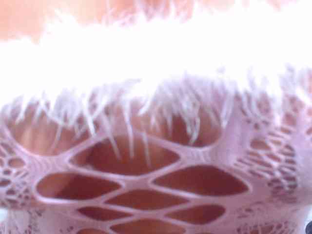 tiny-whore webcam
