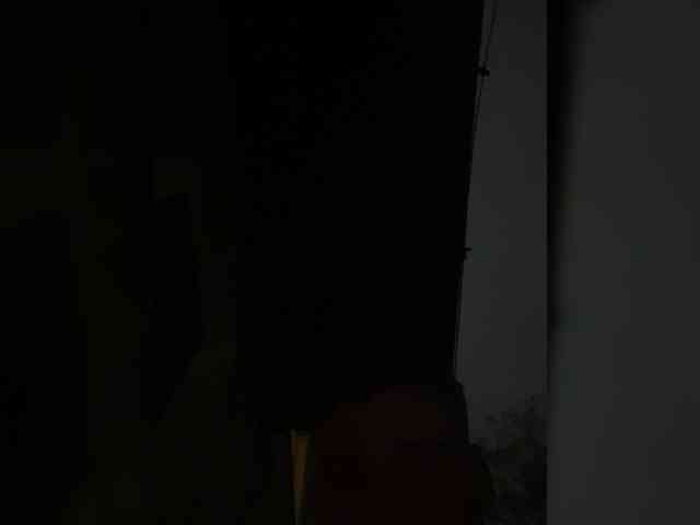 Sexspb11