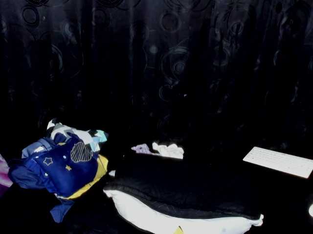 sofie-storm's BongaCams show and profile