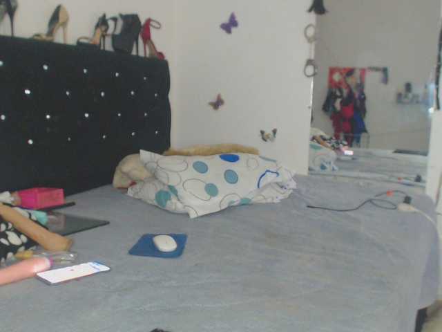 Preview of flacapaola11