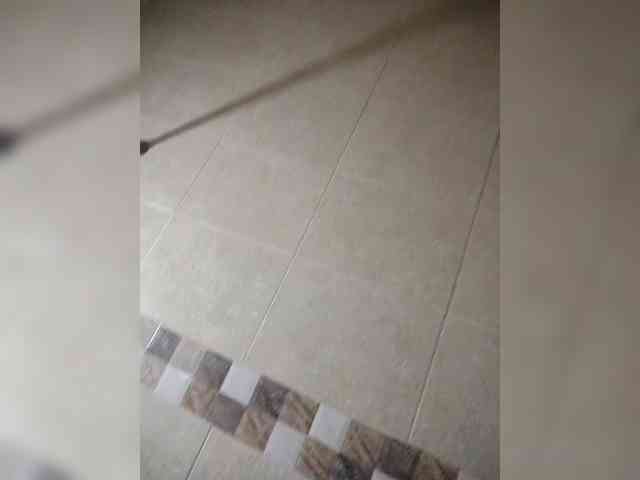 flacapaola11 flacapaola11