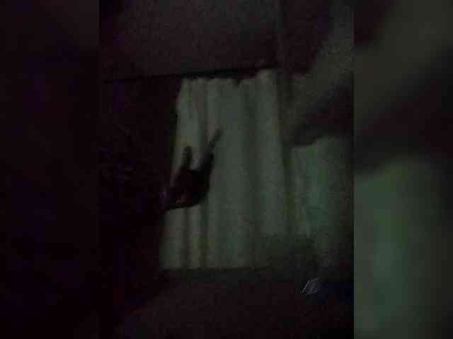 flacapaola11 webcam