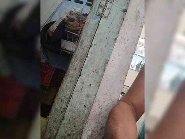 flacapaola11 flacapaola11