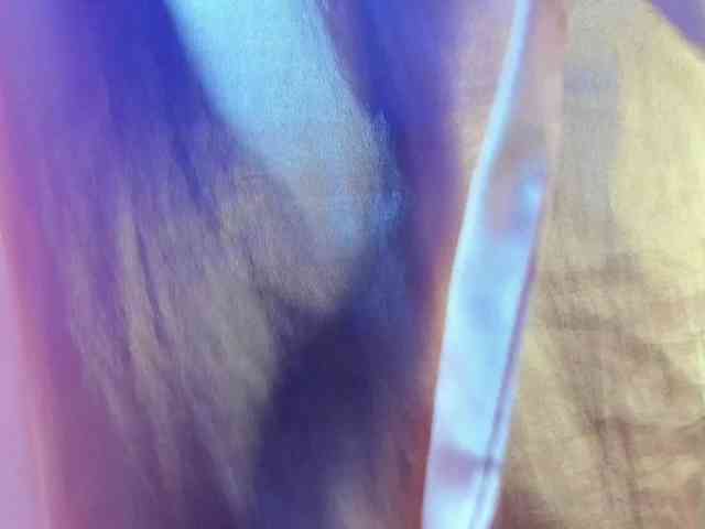 ReginaShine webcam