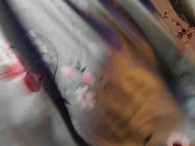 ReginaShine ReginaShine