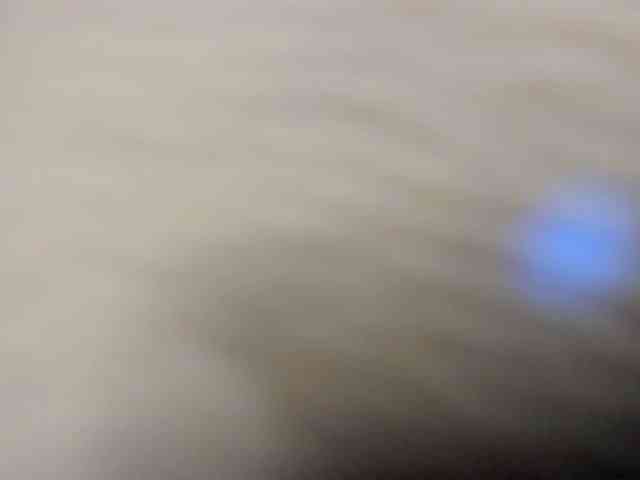 ReginaShine webcam