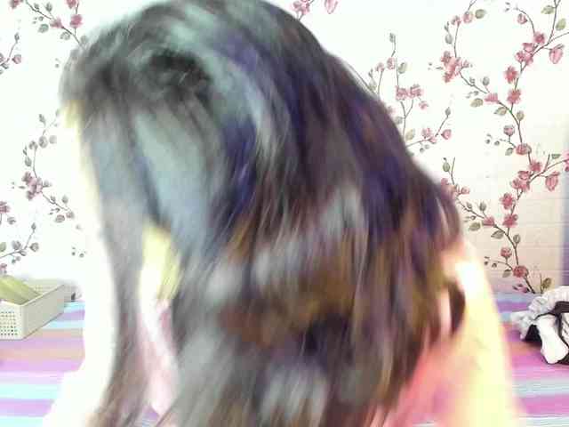 ReginaShine webcam
