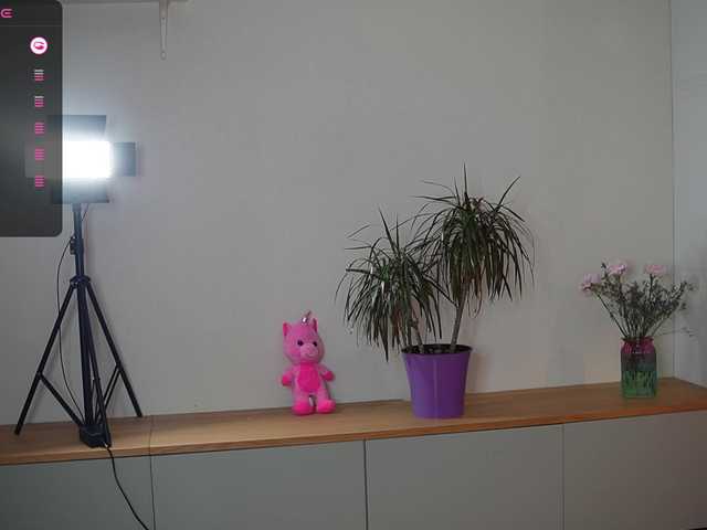 mel-collins's BongaCams show and profile