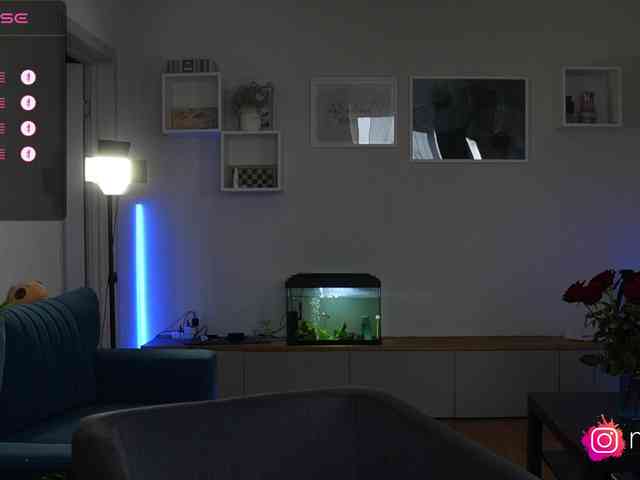 mel-collins webcam