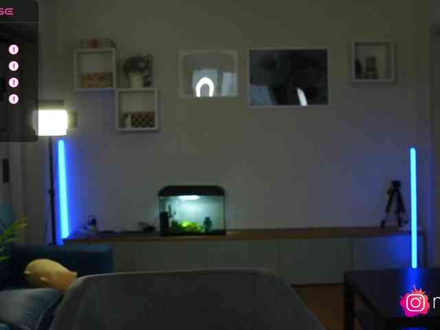 mel-collins webcam