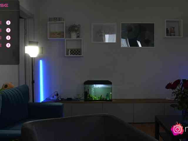 mel-collins webcam