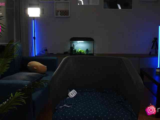 mel-collins webcam