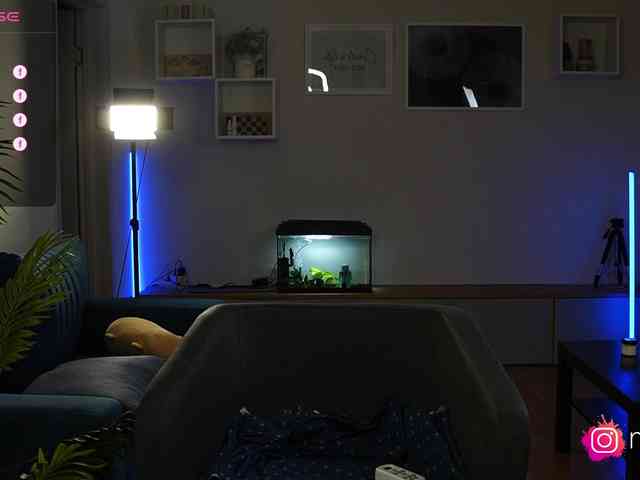 mel-collins webcam