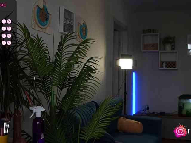mel-collins webcam