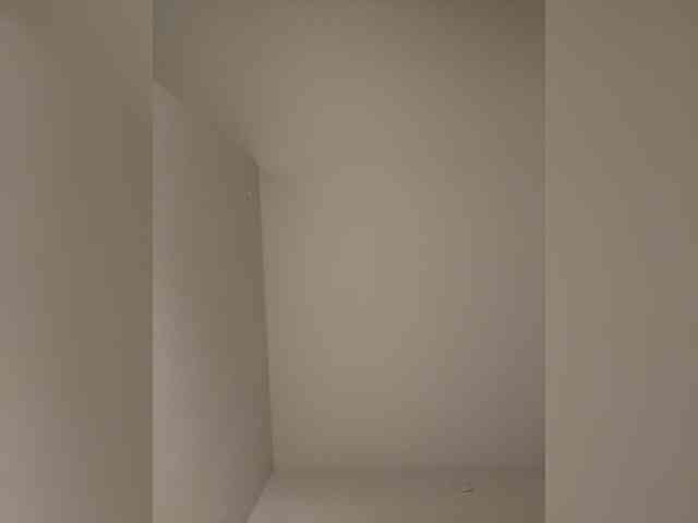 CutieMolly CutieMolly