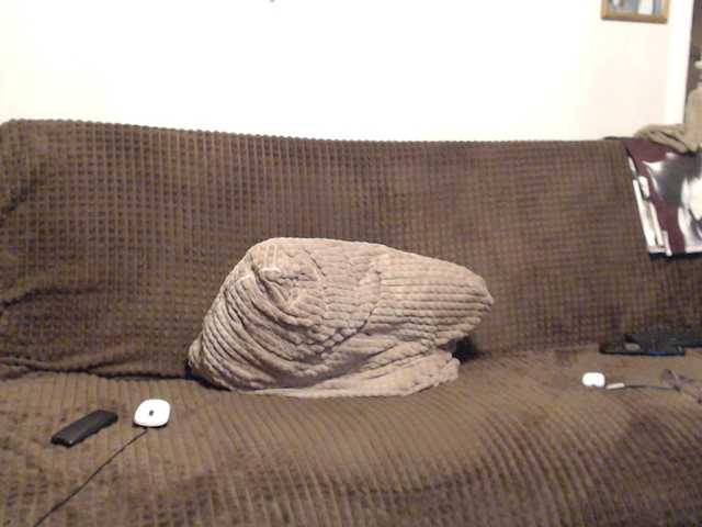 NINA-RICCI's BongaCams show and profile