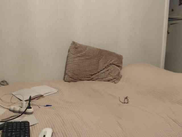NINA-RICCI webcam