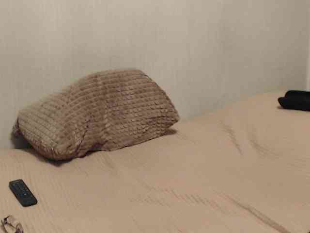 NINA-RICCI webcam