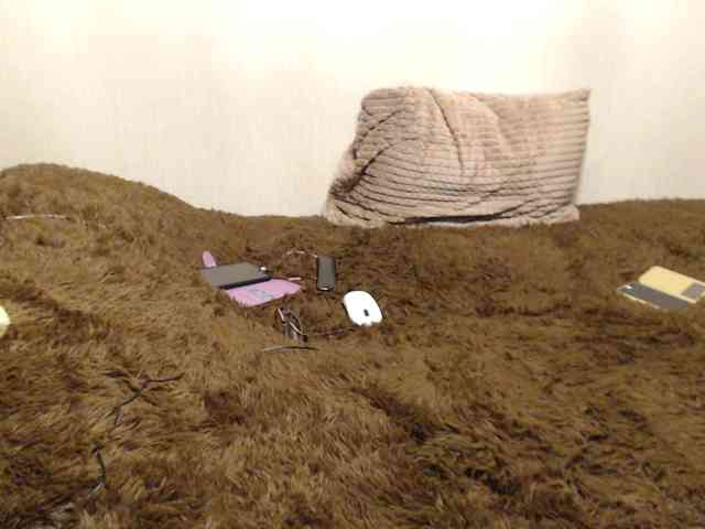 NINA-RICCI webcam