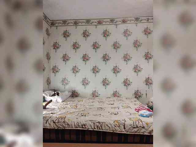 Alisa-33 webcam
