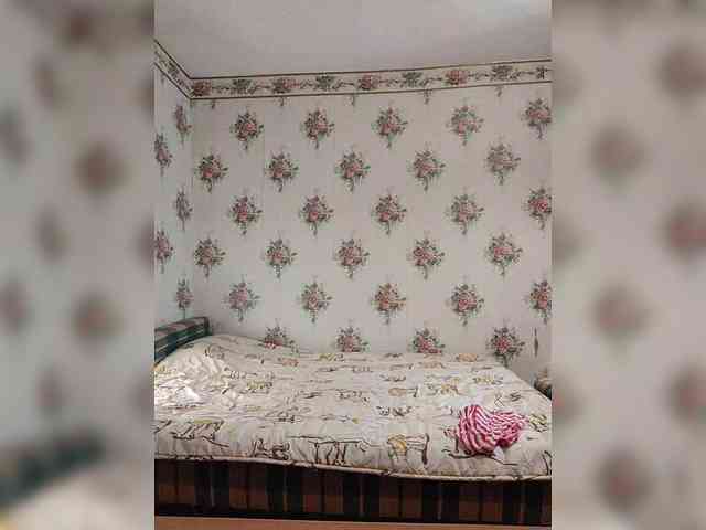 Alisa-33 webcam