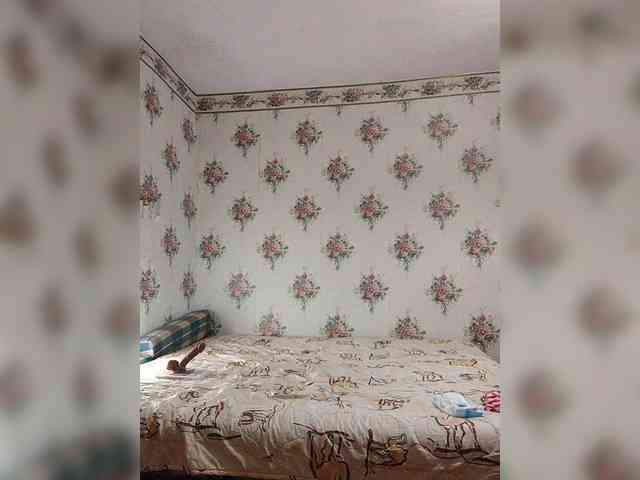 Alisa-33 webcam