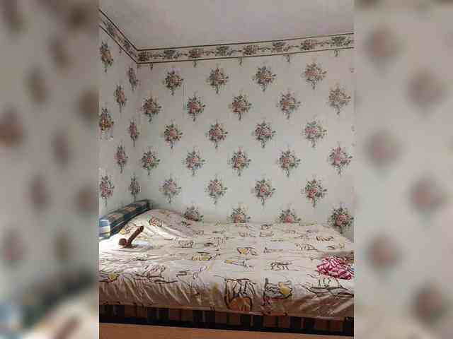 Alisa-33 webcam