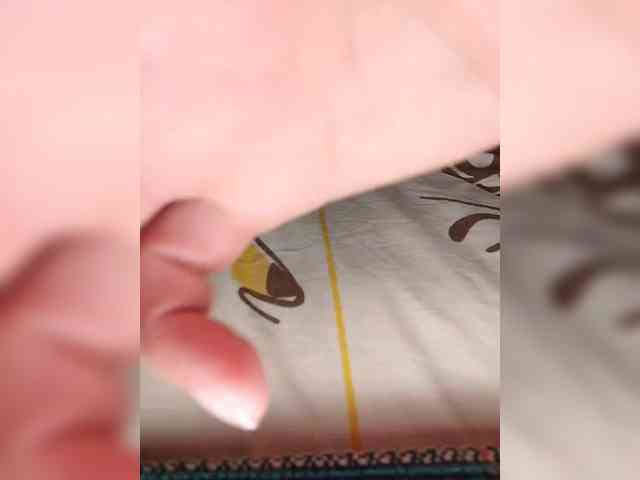 Alisa-33 webcam