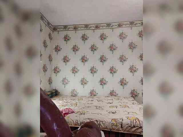Alisa-33 webcam