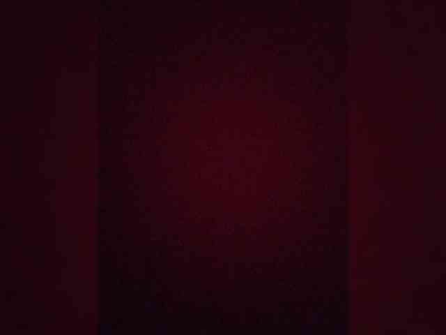 Alisa-33 webcam